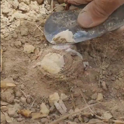 Organic Natural Hing